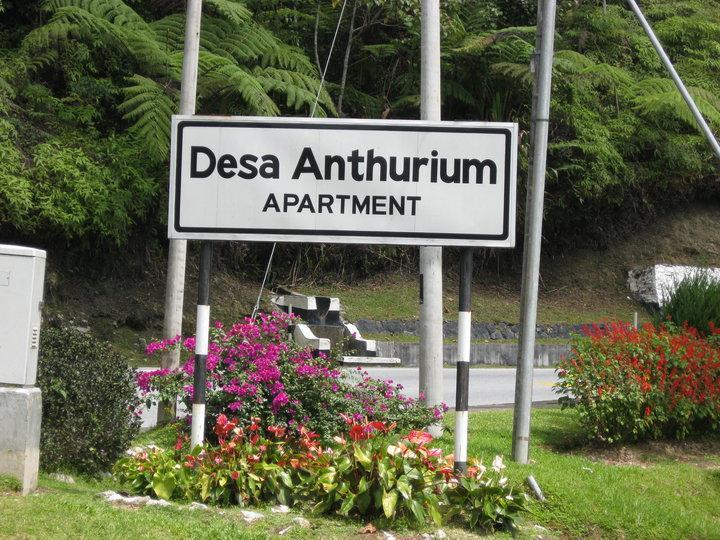 Sa Apartments @ Desa Anthurium Cameron Highlands Exterior foto